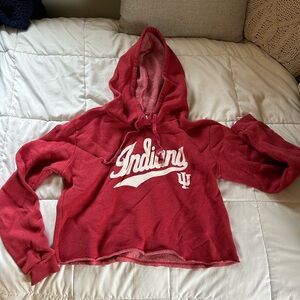 Indiana state university cropped hoodie